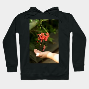 Child's hand touching beautiful butterfly Hoodie